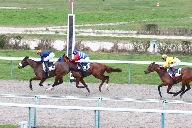 Photo d'arrivée de la course pmu PRIX PITASIA à DEAUVILLE le Vendredi 5 mars 2021