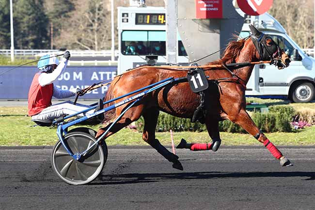 Photo d'arrivée de la course pmu PRIX DE MARENNES à PARIS-VINCENNES le Samedi 6 mars 2021