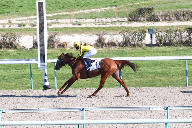 Photo d'arrivée de la course pmu PRIX D'ASNELLES à DEAUVILLE le Samedi 6 mars 2021