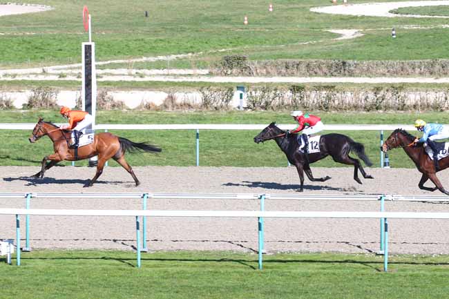 Photo d'arrivée de la course pmu PRIX DE SAINT-VALERY à DEAUVILLE le Samedi 6 mars 2021