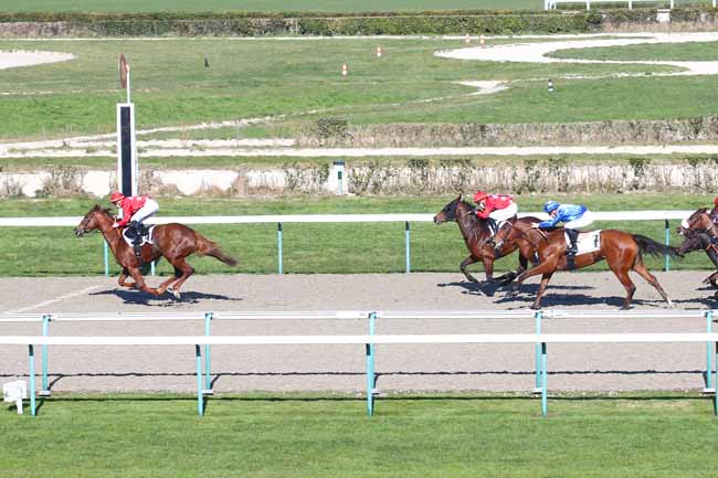 Photo d'arrivée de la course pmu PRIX DE LA COUR BLANCHE à DEAUVILLE le Samedi 6 mars 2021