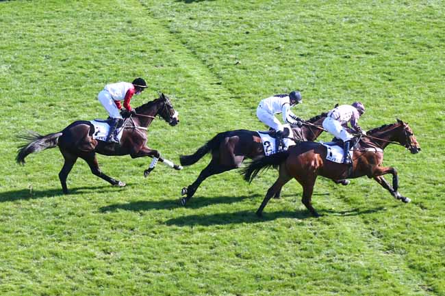 Photo d'arrivée de la course pmu PRIX JEAN DOUMEN à AUTEUIL le Dimanche 7 mars 2021
