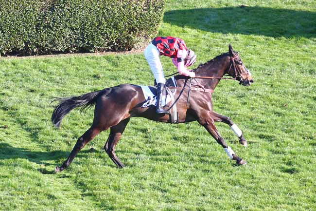 Photo d'arrivée de la course pmu PRIX RIVOLI à AUTEUIL le Dimanche 7 mars 2021