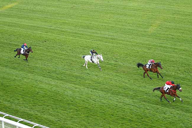 Photo d'arrivée de la course pmu PRIX SOUVIENS-TOI à AUTEUIL le Dimanche 7 mars 2021