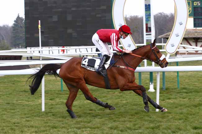 Photo d'arrivée de la course pmu PRIX FERNAND ROY à COMPIEGNE le Mardi 9 mars 2021