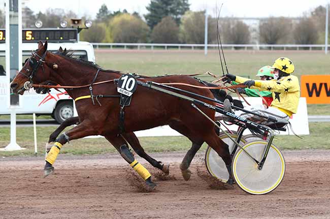 Photo d'arrivée de la course pmu PRIX DES PMU DE LA MARNE à REIMS le Mercredi 10 mars 2021