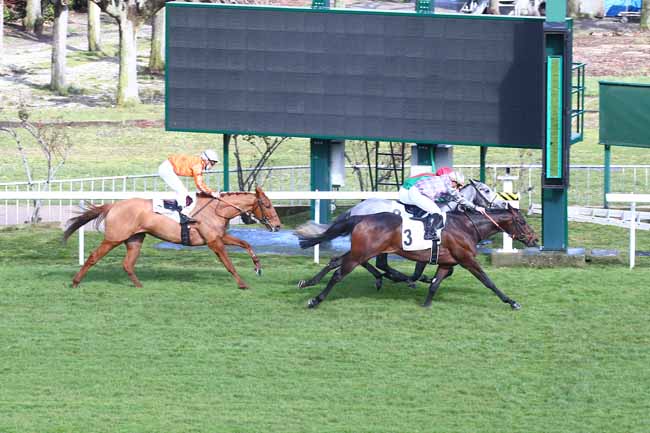 Photo d'arrivée de la course pmu PRIX PROVIDENCIAL à SAINT-CLOUD le Jeudi 11 mars 2021