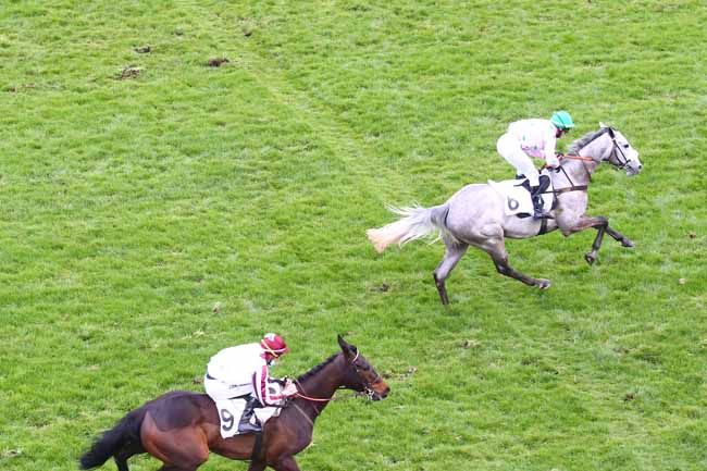 Photo d'arrivée de la course pmu PRIX DE L'YONNE à AUTEUIL le Samedi 13 mars 2021