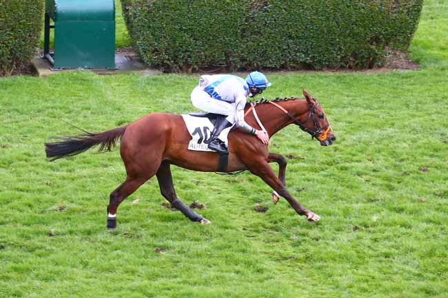 Photo d'arrivée de la course pmu PRIX COUSIN PONS à AUTEUIL le Samedi 13 mars 2021