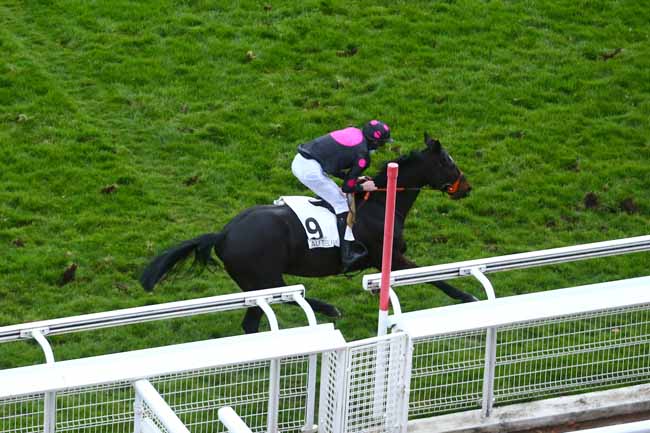 Photo d'arrivée de la course pmu PRIX VENTRILOQUE à AUTEUIL le Samedi 13 mars 2021
