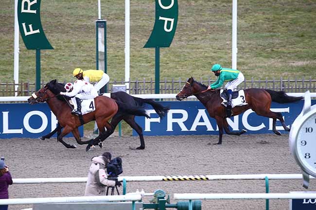 Photo d'arrivée de la course pmu PRIX DE LA QUEUE DU RENARD à CHANTILLY le Lundi 15 mars 2021