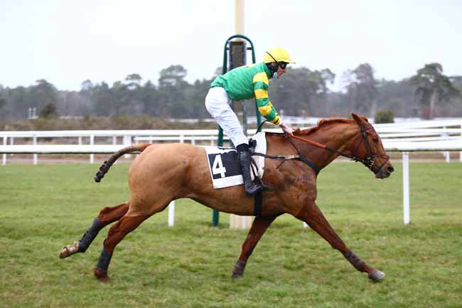 Photo d'arrivée de la course pmu PRIX DE NEMOURS à FONTAINEBLEAU le Mardi 16 mars 2021