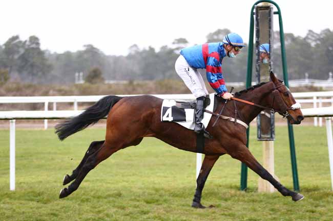 Photo d'arrivée de la course pmu PRIX COLONEL LAPADU-HARGUES à FONTAINEBLEAU le Mardi 16 mars 2021