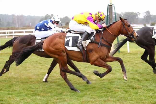 Photo d'arrivée de la course pmu PRIX DU CARREFOUR DE L'OBELISQUE à FONTAINEBLEAU le Mardi 16 mars 2021