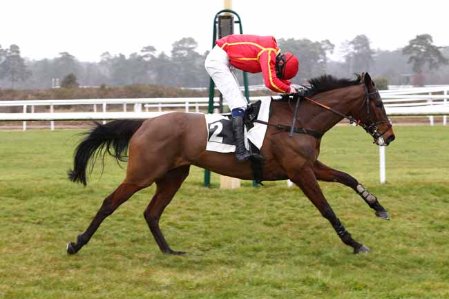 Photo d'arrivée de la course pmu PRIX D'ARBONNE-LA-FORET à FONTAINEBLEAU le Mardi 16 mars 2021