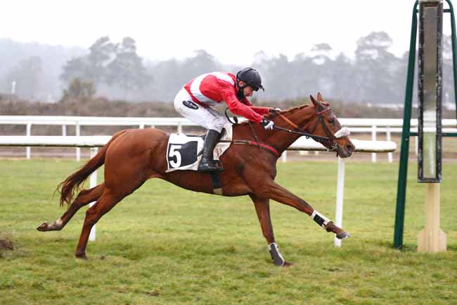 Photo d'arrivée de la course pmu PRIX DE DAMMARIE-LES-LYS à FONTAINEBLEAU le Mardi 16 mars 2021