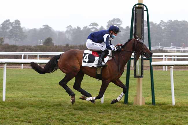 Photo d'arrivée de la course pmu PRIX DE LA SOCIETE DES COURSES DU PIN à FONTAINEBLEAU le Mardi 16 mars 2021