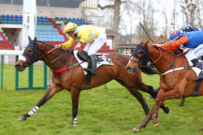 Photo d'arrivée de la course pmu PRIX SOLITAIRE à COMPIEGNE le Mercredi 17 mars 2021