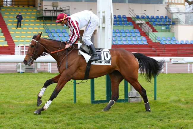 Photo d'arrivée de la course pmu PRIX BEAUTE DE COUR à COMPIEGNE le Mercredi 17 mars 2021