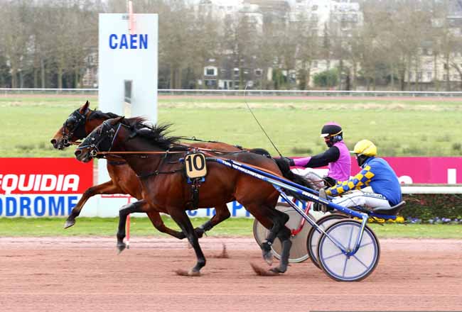Photo d'arrivée de la course pmu PRIX DE CANAPVILLE à CAEN le Jeudi 18 mars 2021