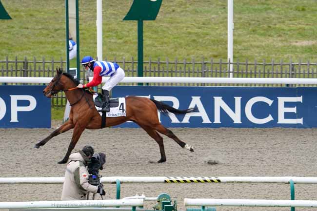 Photo d'arrivée de la course pmu PRIX DU BOIS BONNET à CHANTILLY le Jeudi 18 mars 2021