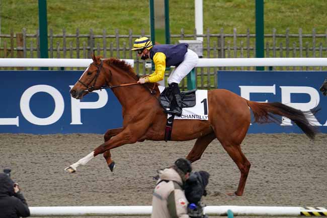 Photo d'arrivée de la course pmu PRIX DU NEFLIER à CHANTILLY le Jeudi 18 mars 2021