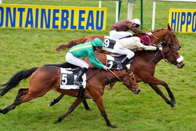 Photo d'arrivée de la course pmu PRIX DE VULAINES-SUR-SEINE à FONTAINEBLEAU le Vendredi 19 mars 2021