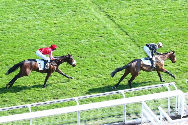 Photo d'arrivée de la course pmu PRIX RUSH à AUTEUIL le Samedi 20 mars 2021