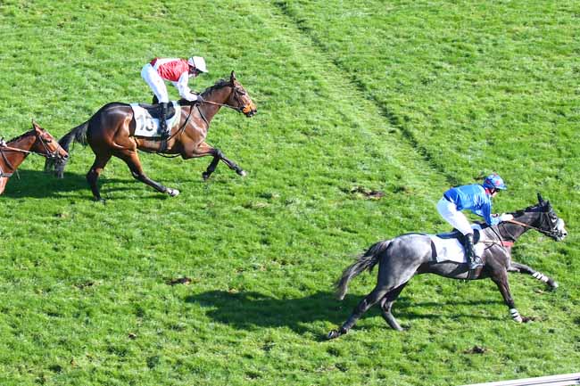 Photo d'arrivée de la course pmu PRIX AURICULA à AUTEUIL le Samedi 20 mars 2021