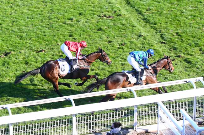 Photo d'arrivée de la course pmu PRIX D'INDY à AUTEUIL le Samedi 20 mars 2021
