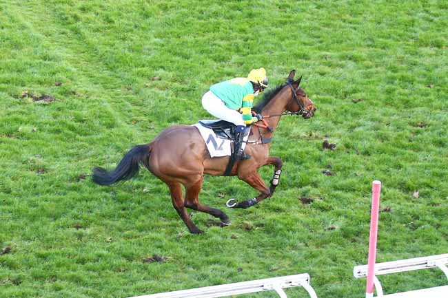 Photo d'arrivée de la course pmu PRIX SAMARITAIN à AUTEUIL le Samedi 20 mars 2021