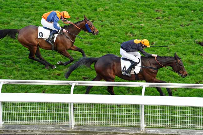 Photo d'arrivée de la course pmu PRIX LILIUM à AUTEUIL le Samedi 20 mars 2021