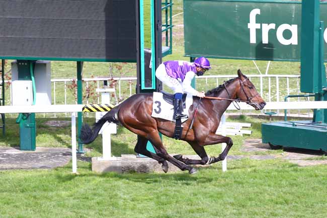 Photo d'arrivée de la course pmu PRIX FRANCOIS MATHET à SAINT-CLOUD le Dimanche 21 mars 2021