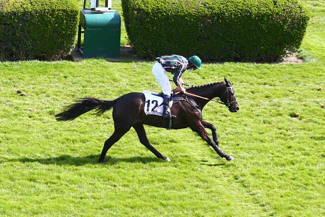 Photo d'arrivée de la course pmu PRIX LUTTEUR III à AUTEUIL le Dimanche 28 mars 2021