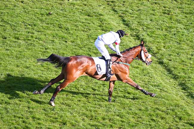 Photo d'arrivée de la course pmu PRIX MITSOUKO III à AUTEUIL le Dimanche 28 mars 2021