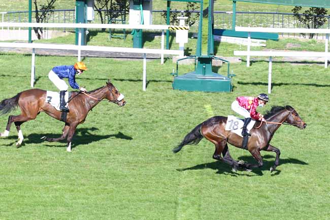 Photo d'arrivée de la course pmu PRIX DU GRAND MORIN à SAINT-CLOUD le Lundi 29 mars 2021