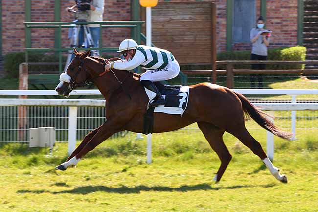 Photo d'arrivée de la course pmu PRIX COR DE CHASSE à FONTAINEBLEAU le Mardi 30 mars 2021