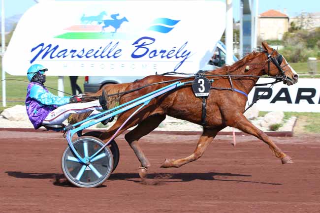 Photo d'arrivée de la course pmu PRIX DE CASSIS - PRIX RFM à MARSEILLE-BORELY le Mercredi 31 mars 2021