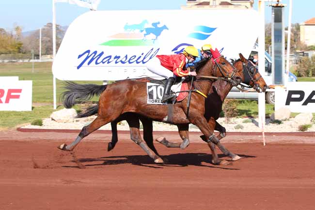 Photo d'arrivée de la course pmu PRIX DES CAVES SAINT-MARC DE CAROMB à MARSEILLE-BORELY le Mercredi 31 mars 2021