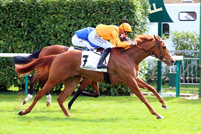 Photo d'arrivée de la course pmu PRIX LE SANCY à CHANTILLY le Jeudi 1 avril 2021