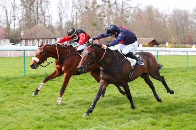 Photo d'arrivée de la course pmu PRIX ORVILLIERS à COMPIEGNE le Jeudi 1 avril 2021