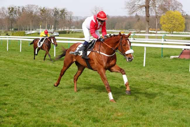 Photo d'arrivée de la course pmu PRIX DE BRISSAC à COMPIEGNE le Jeudi 1 avril 2021