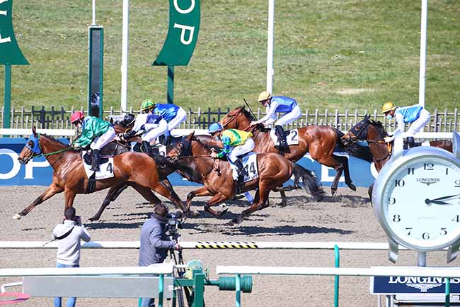 Photo d'arrivée de la course pmu PRIX DE LA BUTTE RONDE à CHANTILLY le Vendredi 2 avril 2021
