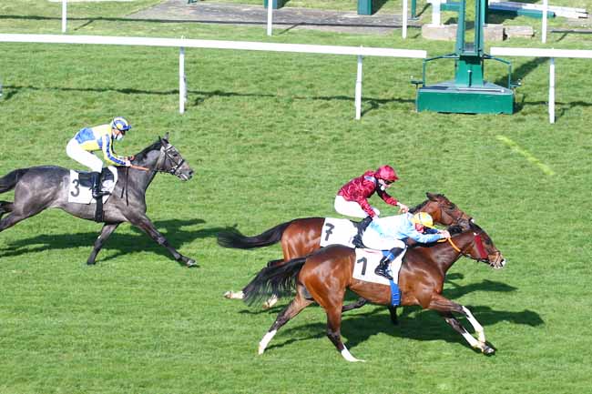 Photo d'arrivée de la course pmu PRIX TARENTELLE à SAINT-CLOUD le Samedi 3 avril 2021