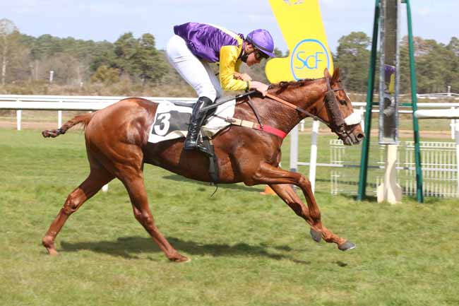 Photo d'arrivée de la course pmu PRIX DE BARBIZON à FONTAINEBLEAU le Samedi 3 avril 2021