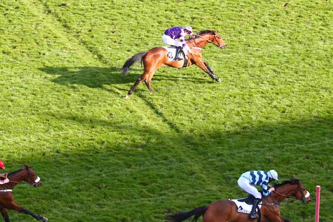 Photo d'arrivée de la course pmu PRIX GUY HUNAULT à AUTEUIL le Dimanche 4 avril 2021