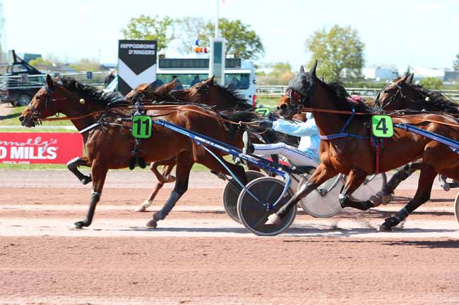 Photo d'arrivée de la course pmu PRIX GELINOTTE à ANGERS le Mercredi 7 avril 2021
