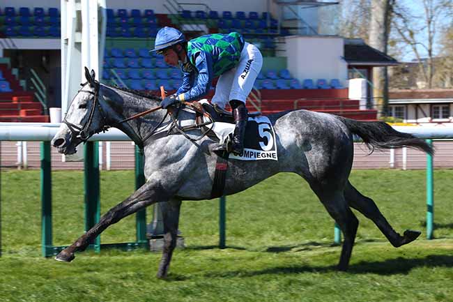 Photo d'arrivée de la course pmu PRIX BOG FROG à COMPIEGNE le Mercredi 7 avril 2021