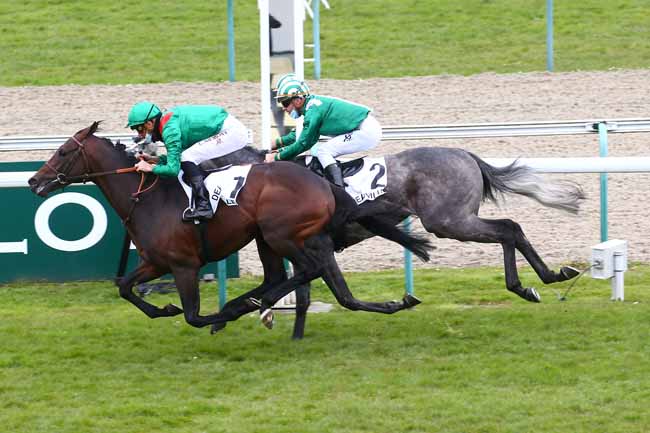 Photo d'arrivée de la course pmu PRIX DE FRAUENFELD à DEAUVILLE le Mercredi 7 avril 2021