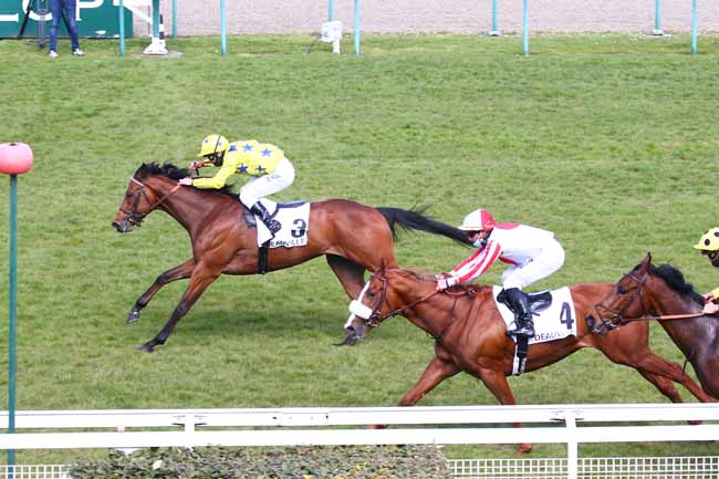 Photo d'arrivée de la course pmu PRIX DE SAINT-LO à DEAUVILLE le Jeudi 8 avril 2021